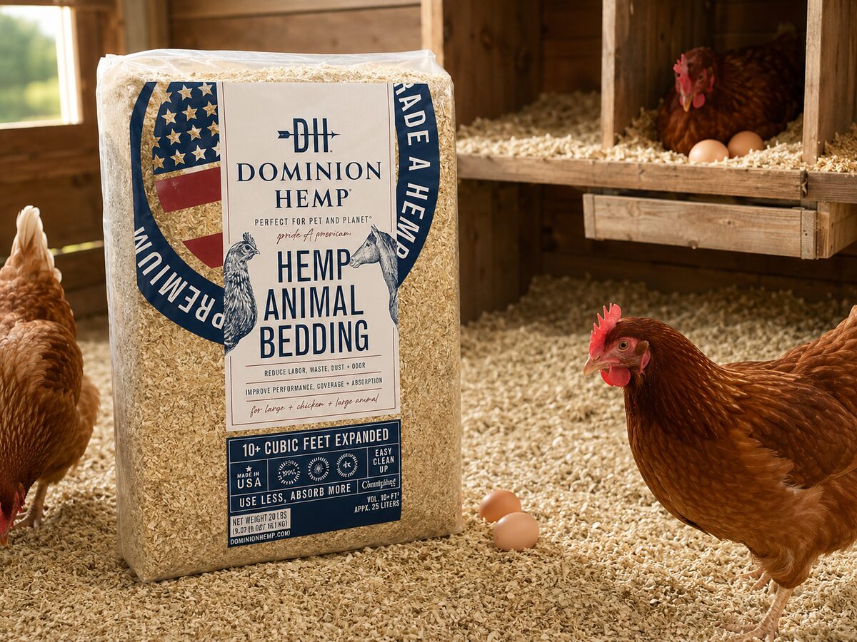 Dominion Hemp animal bedding bale in a chicken coop with hens