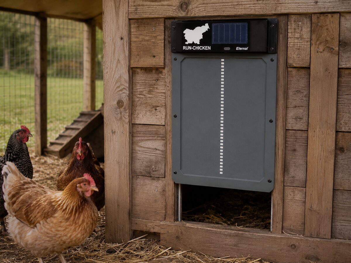 Run-Chicken Eternal solar automatic chicken coop door with integrated solar panel on rustic wooden coop